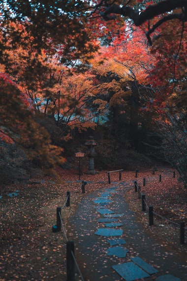 Arashiyama Japan