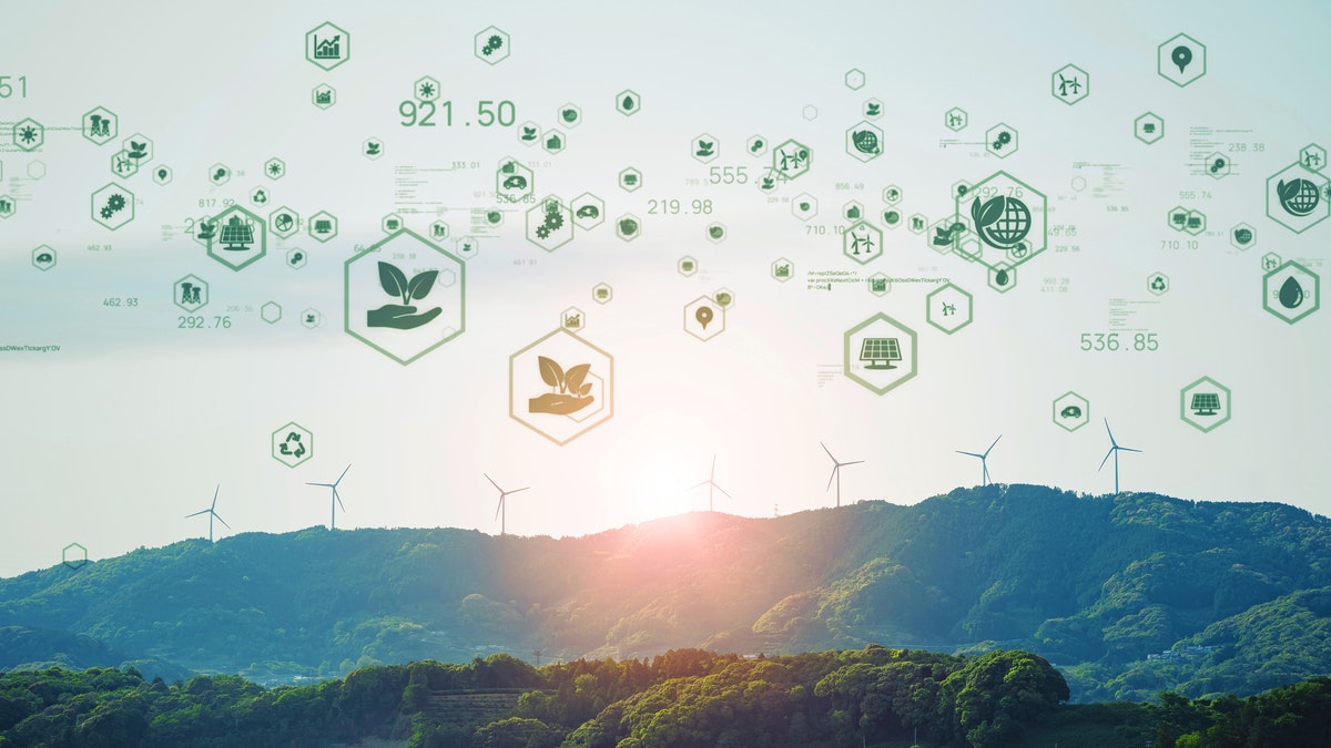 Sustainability-ReducingResources image