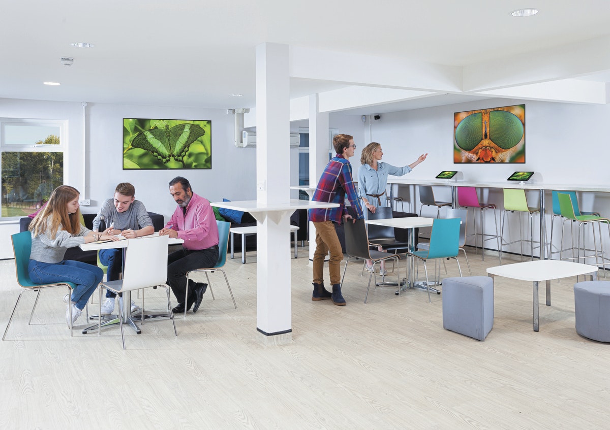 EDUCATION - School Classroom - 10 T-line - Q-line image