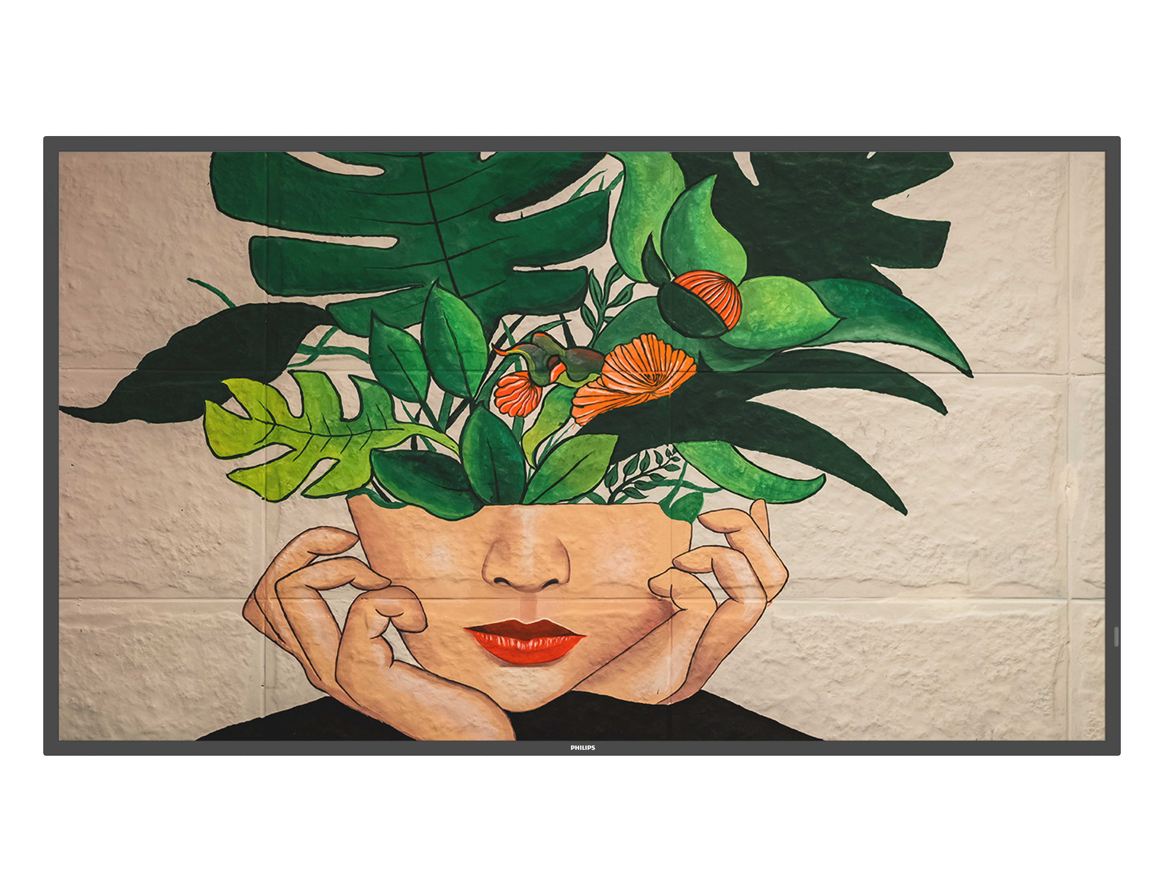 D-50inch-image6.png image