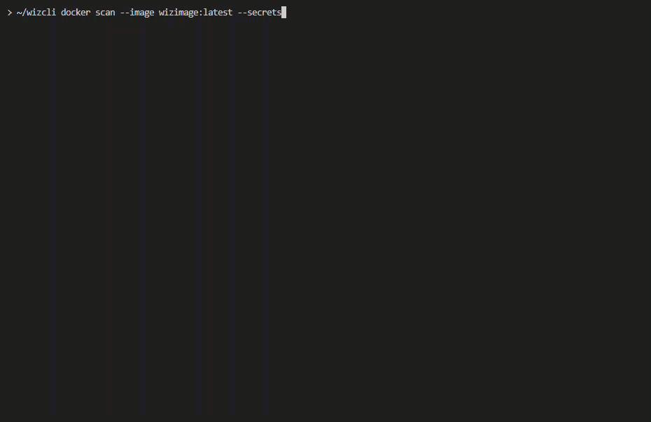 A GIF showing a docket scan and relevant code